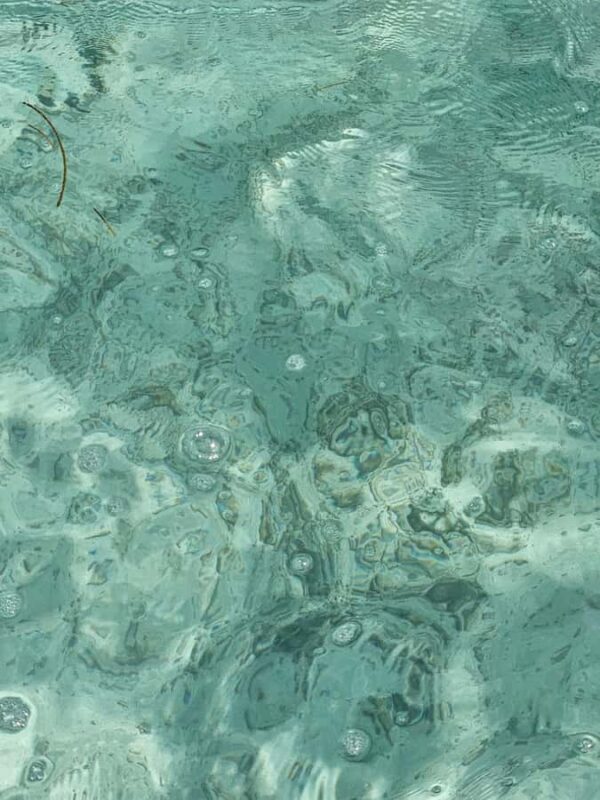 Sea excursion - Martinique Sea Excursion: An Authentic Caribbean Experience