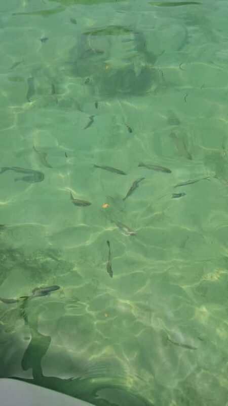 Sea excursion - What Makes This Tour Stand Out?