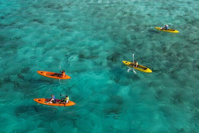 Sea Glass Island and Clear Kayak Adventure - Sea Glass Island and Clear Kayak Adventure: A Detailed Look