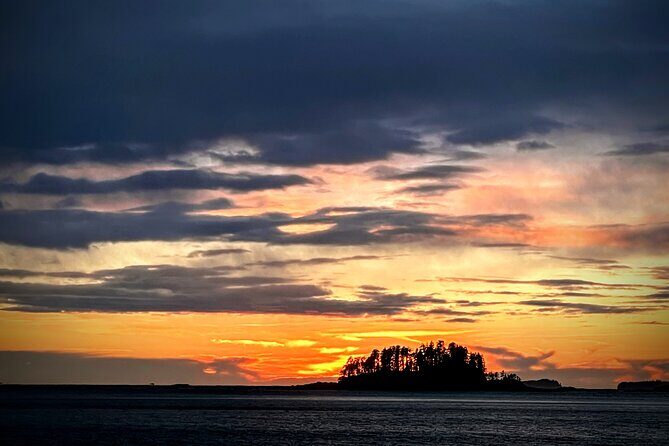 Sea it All -Private Sitka Wildlife LAND & SEA COMBO for 6 w/meal - Final Thoughts