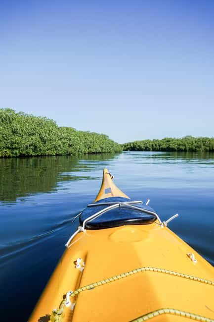 Sea Kayak Tour - Mangrove Safari - Sea Kayak Tour - Mangrove Safari: An Authentic Baja Experience