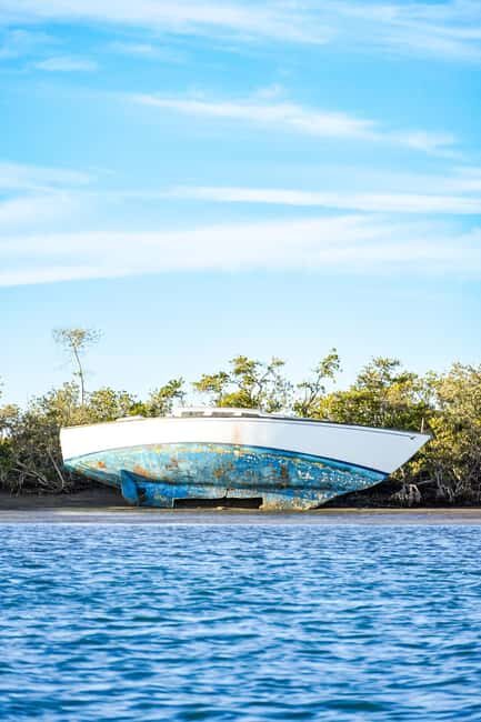 Sea Kayak Tour - Mangrove Safari - Why This Tour Delivers Value