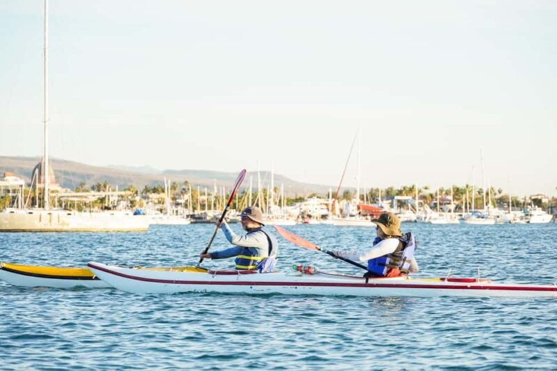 Sea Kayak Tour - Mangrove Safari - Who Should Consider This Tour?