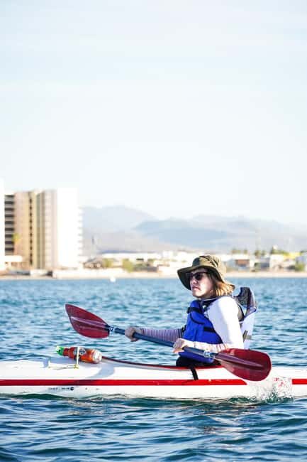 Sea Kayak Tour - Mangrove Safari - Summary: Why This Tour Is a Solid Choice