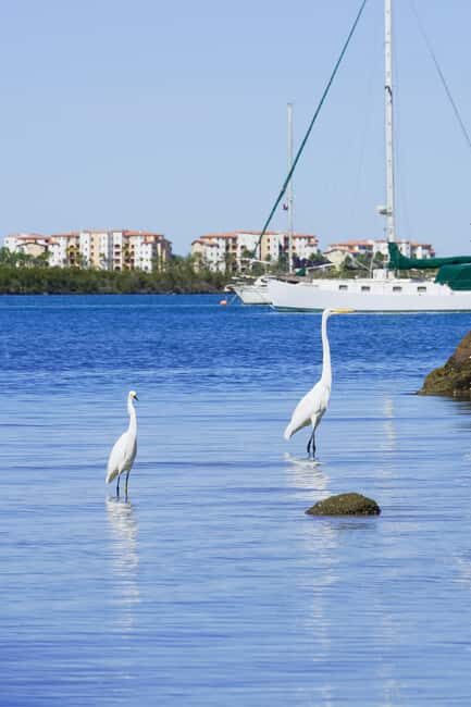 Sea Kayak Tour - Mangrove Safari - Frequently Asked Questions