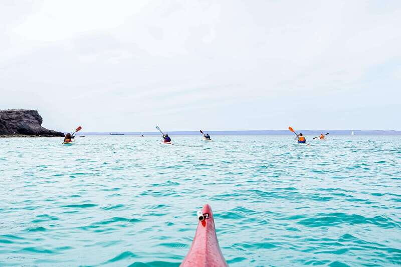 Sea Kayak Tour - Marine Safari - Sea Kayak Tour - Marine Safari: An Authentic Baja Coastal Adventure