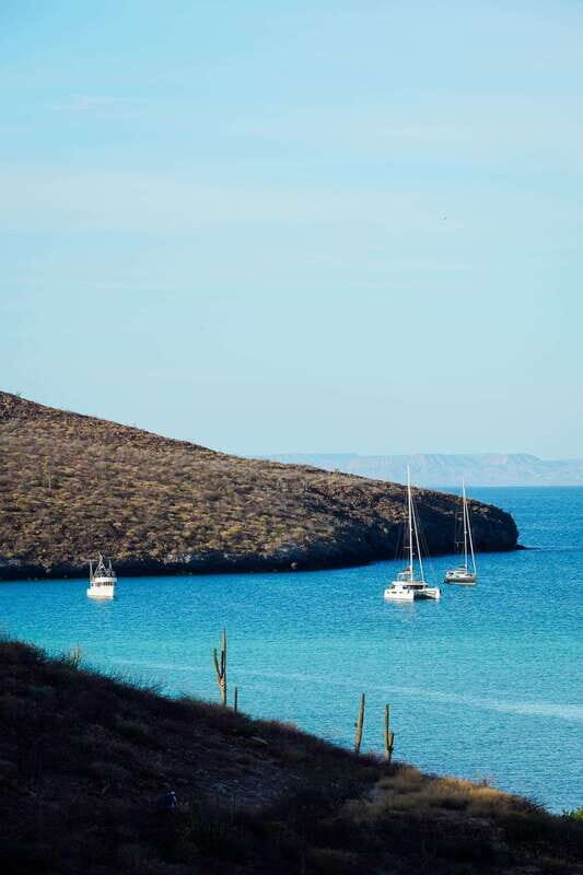 Sea Kayak Tour - Marine Safari - Why This Tour Offers Great Value