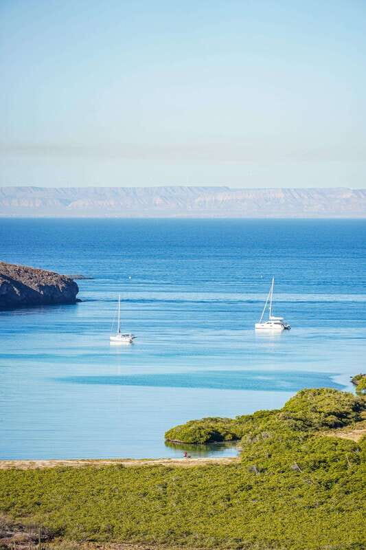 Sea Kayak Tour - Marine Safari - Final Thoughts: Is It Worth It?