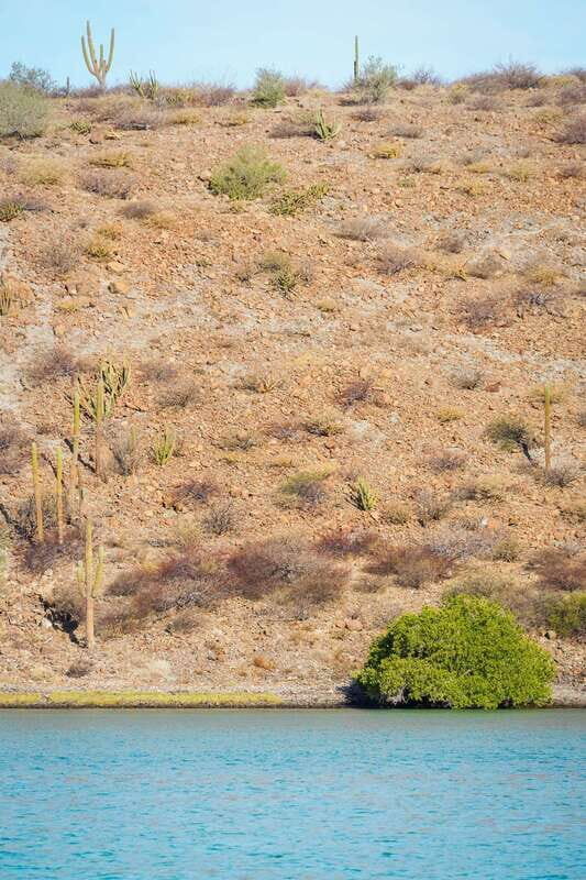 Sea Kayak Tour - Marine Safari - FAQ