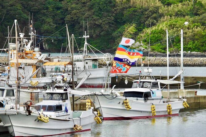 Sea Kayaking and Beach Clean up in Ojika Island Nagasaki - How the Day Unfolds