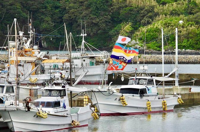Sea Kayaking and Beach Clean up in Ojika Island Nagasaki - The Value of the Clean-up