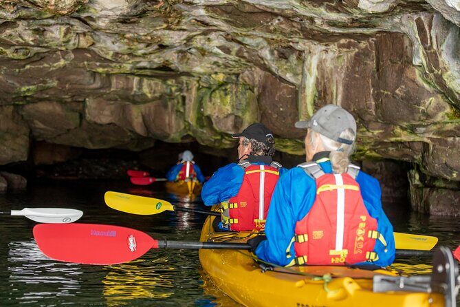 Sea Kayaking Christchurch, Lyttelton Harbour & Quail Island - Exploring Quail Island