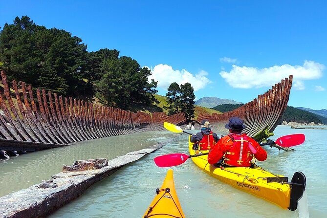 Sea Kayaking Christchurch, Lyttelton Harbour & Quail Island - Flexibility and Weather Considerations