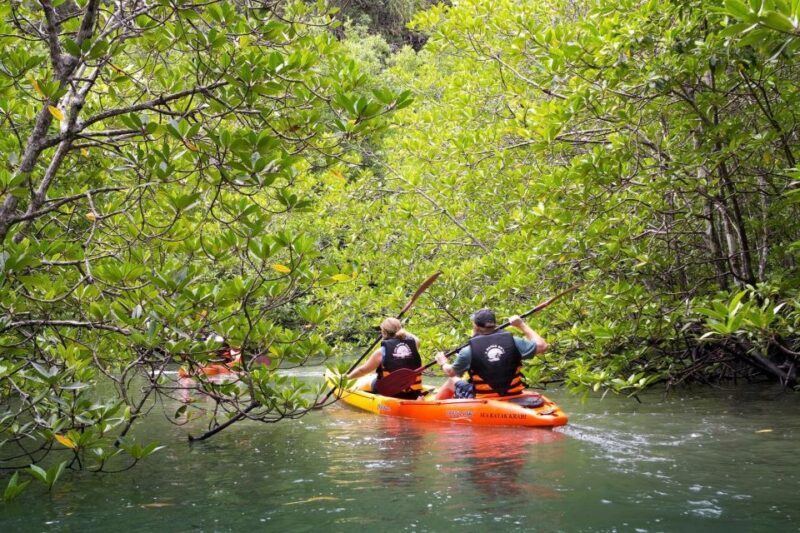 Sea Kayaking in Ao Thalane & Optional Full-Day Hong Island - Experience the Serenity of Krabi’s Mangroves and Islands: Sea Kayaking in Ao Thalane & Optional Full-Day Hong Island