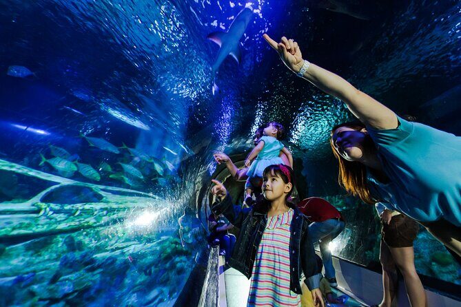 SEA LIFE Aquarium Arizona Admission Ticket - Key Points