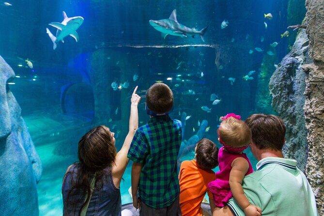 SEA LIFE Aquarium Arizona Admission Ticket - Location and Accessibility