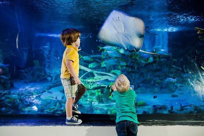 SEA LIFE Aquarium Arizona Admission Ticket - Educational Talks and Demonstrations