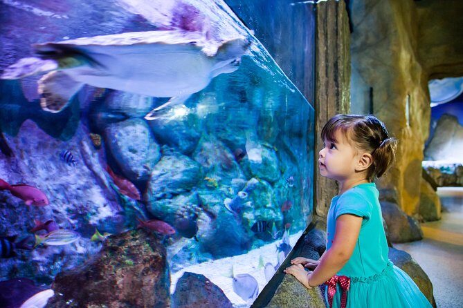 SEA LIFE Aquarium Arizona Admission Ticket - The Experience Itself: What You Can Expect