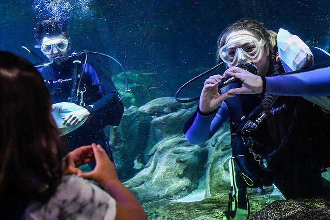 SEA LIFE Aquarium Arizona Admission Ticket - Pricing and Value