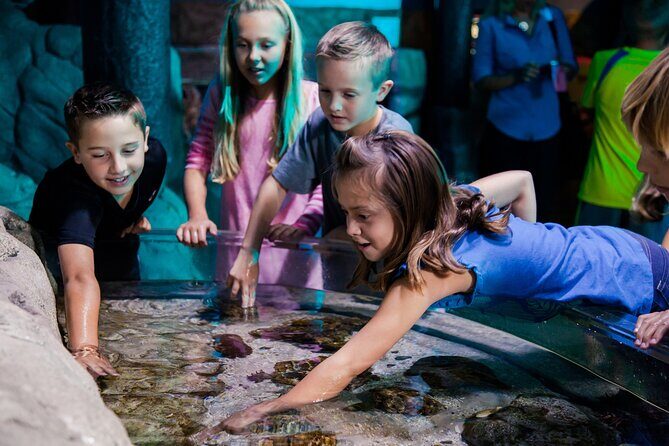 SEA LIFE Aquarium Arizona Admission Ticket - Possible Drawbacks or Considerations