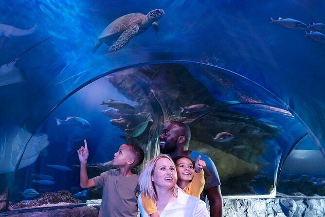 SEA LIFE Aquarium Grapevine Admission Ticket - Who Will Love This Experience?