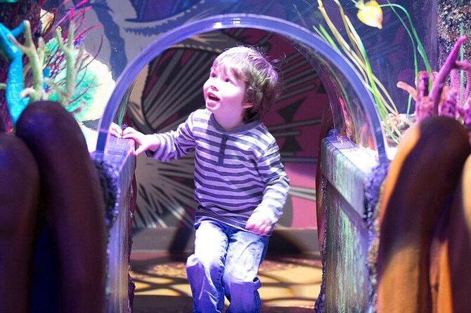 SEA LIFE Aquarium Grapevine Admission Ticket - FAQ: Your Questions Answered