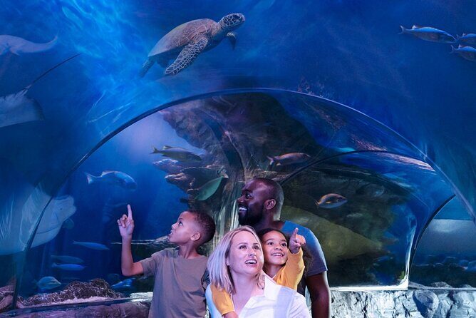 SEA LIFE Aquarium Minnesota Admission Ticket at Mall of America - Key Points