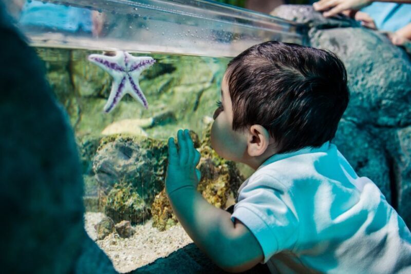 SEA LIFE Arizona Aquarium General Admission - Key Points