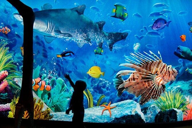 Sea Life Bangkok Ocean World Tickets - Discovering Sea Life Bangkok Ocean World: A Practical Guide