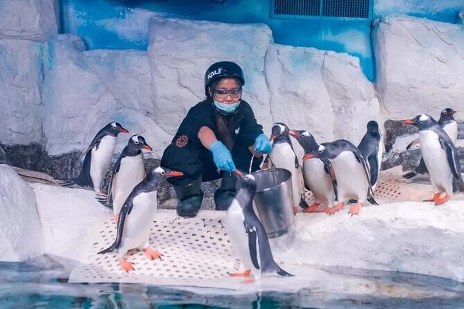 Sea Life Bangkok Ocean World Tickets - Final Thoughts