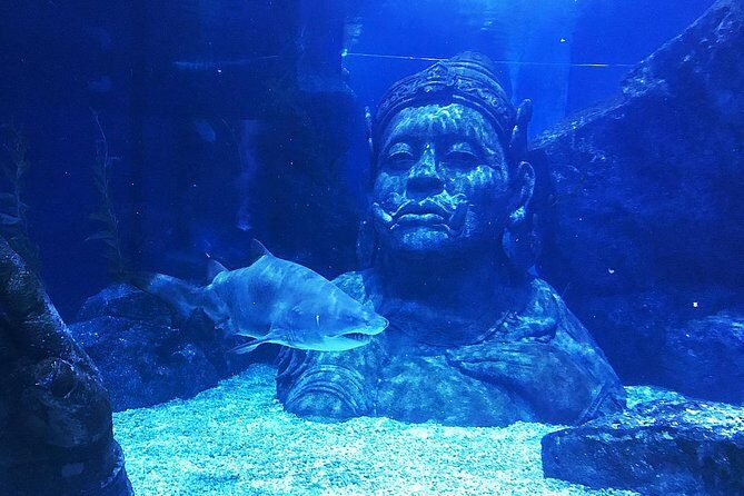 Sea Life Bangkok Ocean World Tickets - Practical Tips for Your Visit