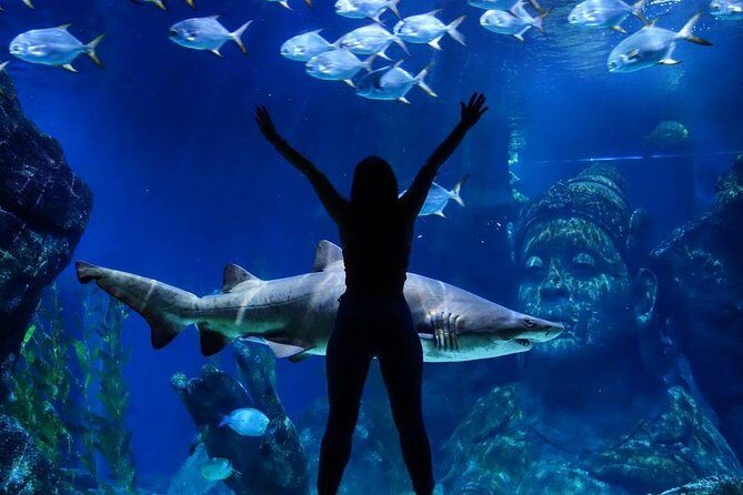 Sea Life Bangkok Ocean World Tickets - Who Will Love This Tour?