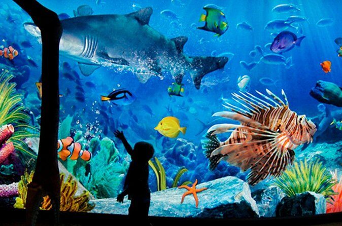 Sea Life Bangkok Ocean World Tickets - FAQ