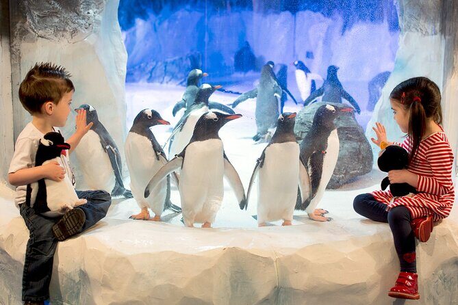SEA LIFE Birmingham Admission Ticket - Final Thoughts: Is the SEA LIFE Birmingham Worth It?
