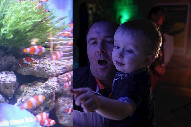 SEA LIFE Blackpool Admission Ticket - Is SEA LIFE Blackpool Worth It?