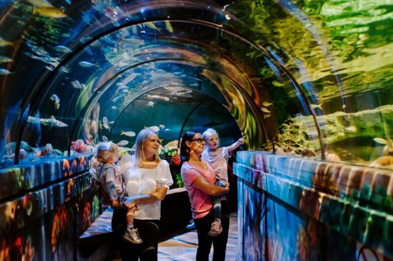 Sea Life Brighton Admission Ticket - A Closer Look at Sea Life Brighton