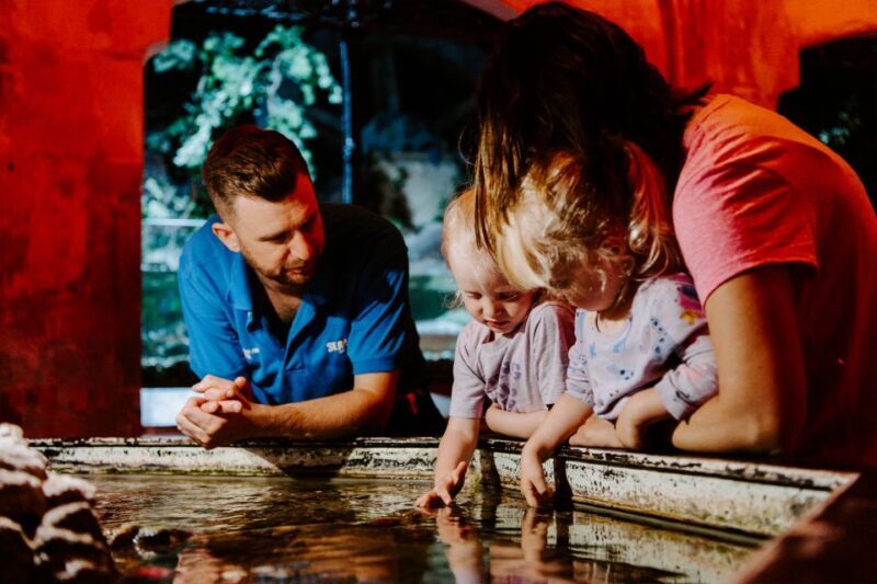 Sea Life Brighton Admission Ticket - Final Thoughts: Who Will Love This Experience?