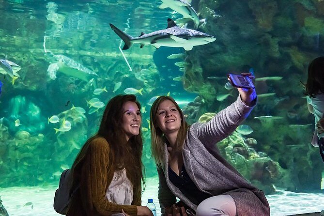 SEA LIFE Brighton Admission Ticket - A Deep Dive into the Brighton Aquarium Experience