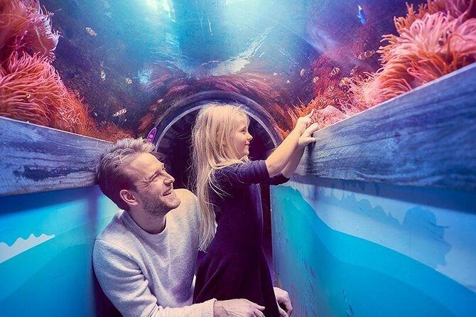 SEA LIFE Brighton Admission Ticket - Frequently Asked Questions (FAQs)