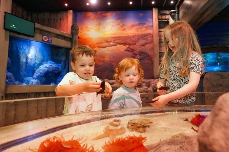 SEA LIFE Great Yarmouth - In-Depth Review of SEA LIFE Great Yarmouth