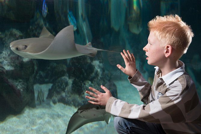 SEA LIFE Hannover Ticket - FAQ