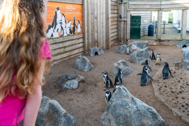 Sea Life Hunstanton - A Detailed Look at What to Expect at Sea Life Hunstanton