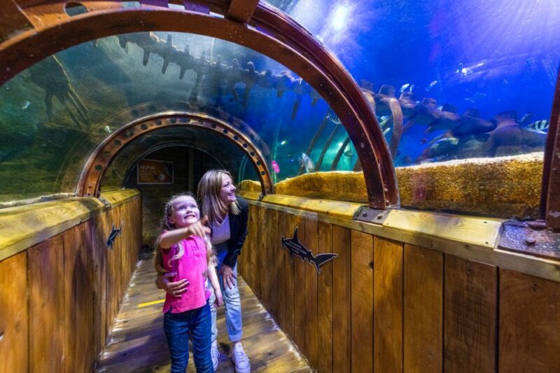 Sea Life Hunstanton - FAQ