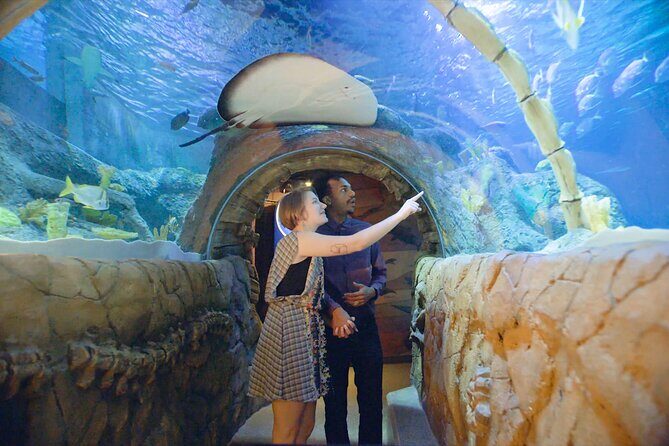 SEA LIFE Kansas City Aquarium Admission Ticket - An In-Depth Look at the SEA LIFE Kansas City Experience