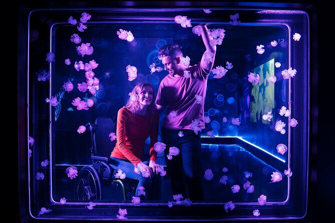 SEA LIFE Kansas City Aquarium Admission Ticket - The Sum Up: Who Should Make Time for SEA LIFE Kansas City?