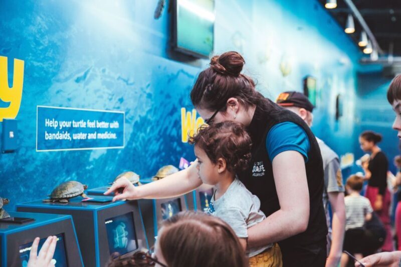 Sea Life Kelly Tarlton's Aquarium General Admission - A Closer Look at Kelly Tarlton’s Aquarium: What to Expect