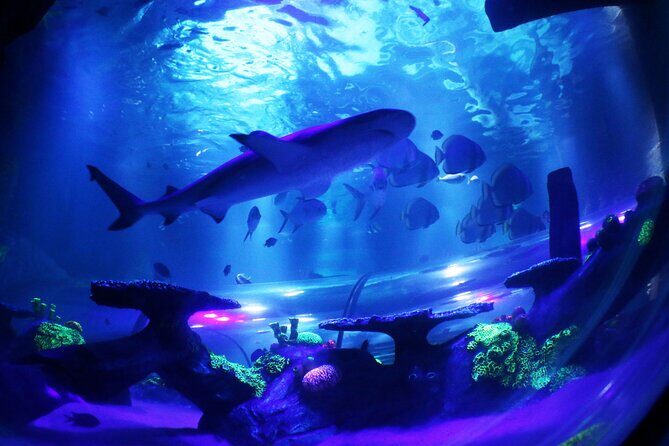 SEA LIFE Konstanz Admission Ticket - Final Thoughts