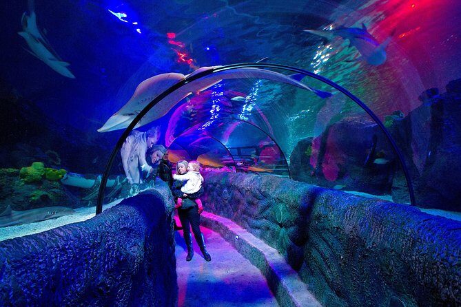 SEA LIFE Loch Lomond General Admission Ticket - Who Will Enjoy This Tour?