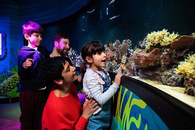 SEA LIFE London Aquarium Admission Ticket - Considerations and Drawbacks
