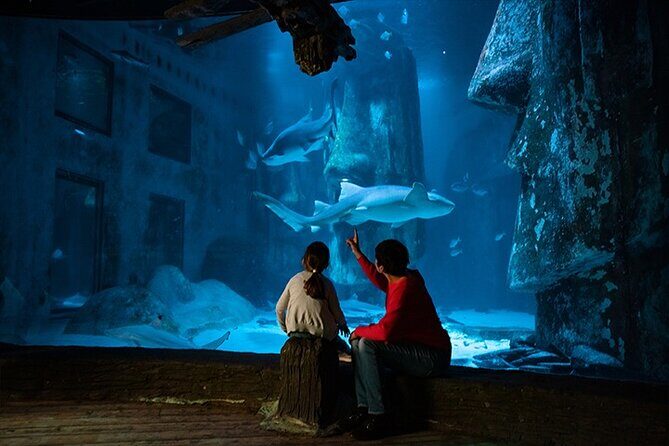 SEA LIFE London Aquarium Admission Ticket - Authentic Experiences from Visitors